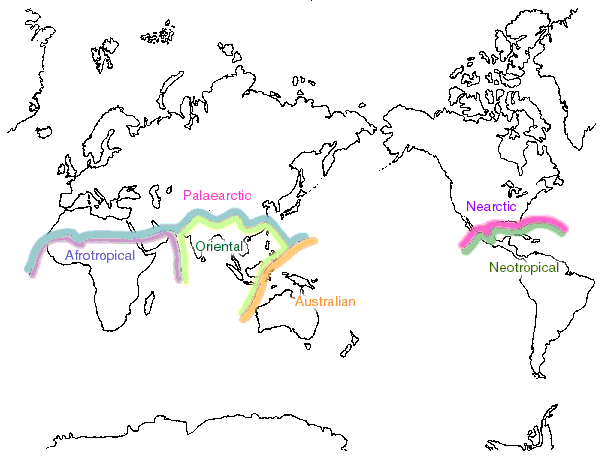 World geographic regions